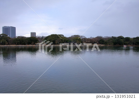 福岡県福岡市の野鳥の楽園 大濠公園 福岡県福岡市の野鳥の楽園 大濠公園 131951021