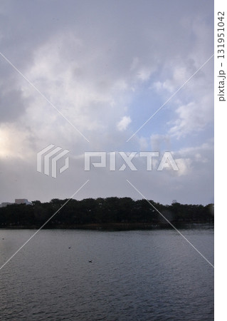 福岡県福岡市の野鳥の楽園　大濠公園 131951042