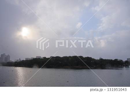 福岡県福岡市の野鳥の楽園　大濠公園 131951043