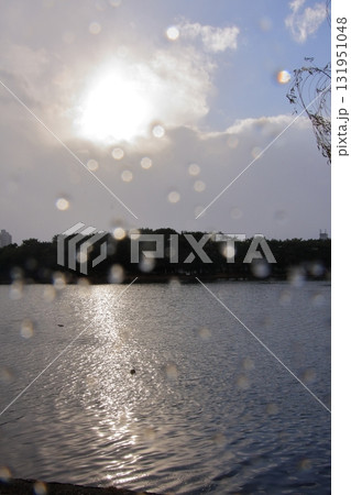 福岡県福岡市の野鳥の楽園　大濠公園 131951048