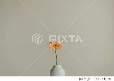 花瓶に入ったガーベラの花 131951220