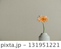 花瓶に入ったガーベラの花 131951221