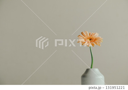 花瓶に入ったガーベラの花 花瓶に入ったガーベラの花 131951221