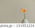 花瓶に入ったガーベラの花 131951224