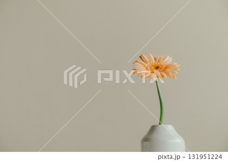 花瓶に入ったガーベラの花 131951224