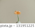 花瓶に入ったガーベラの花 131951225
