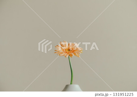 花瓶に入ったガーベラの花 131951225