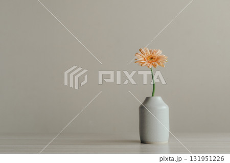 花瓶に入ったガーベラの花 131951226