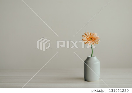 花瓶に入ったガーベラの花 131951229