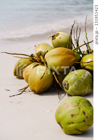 Fresh coconuts gathered on a sandy beach near tranquil waves during a sunny day 131951423