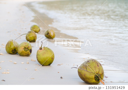 Green coconuts line the sandy beach as gentle waves lap at the shore under the warm sun, creating a tranquil seaside atmosphere in a tropical paradise Green coconuts line the sandy beach as gentle waves lap at the shore under the warm sun, creating a tranquil seaside atmosphere in a tropical paradise 131951429