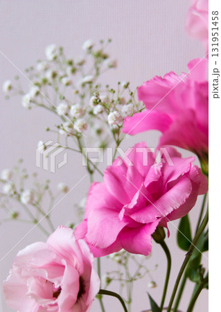 トルコ桔梗とかすみ草 131951458