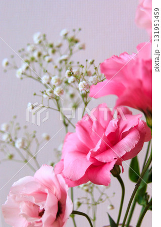 トルコ桔梗とかすみ草 131951459