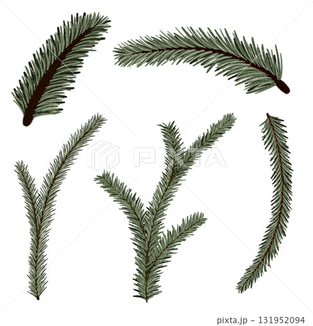 Watercolor Illustration of Pine Tree Branches Isolated on White Background Watercolor Illustration of Pine Tree Branches Isolated on White Background 131952094