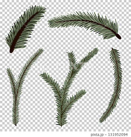 Watercolor Illustration of Pine Tree Branches Isolated on White Background Watercolor Illustration of Pine Tree Branches Isolated on White Background 131952094