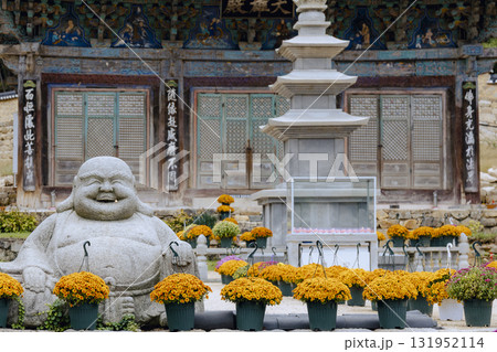 A front view of the Daeungjeon Hall of Jangansa Temple in Gijang, Busan, South Korea. A stone Buddha statue and chrysanthemums are in harmony. A front view of the Daeungjeon Hall of Jangansa Temple in Gijang, Busan, South Korea. A stone Buddha statue and chrysanthemums are in harmony. 131952114