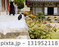 A cat sitting in front of the Daeungjeon Hall at Jangansa Temple in Gijang, Busan, South Korea. 131952118