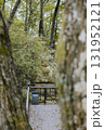 The Buddha statue visible through the trees is covered in green moss. 131952121