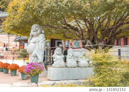 An old maple tree, a Maitreya Buddha, and a stone statue of a young monk at Jangansa Temple in Gijang, Busan, South Korea An old maple tree, a Maitreya Buddha, and a stone statue of a young monk at Jangansa Temple in Gijang, Busan, South Korea 131952152