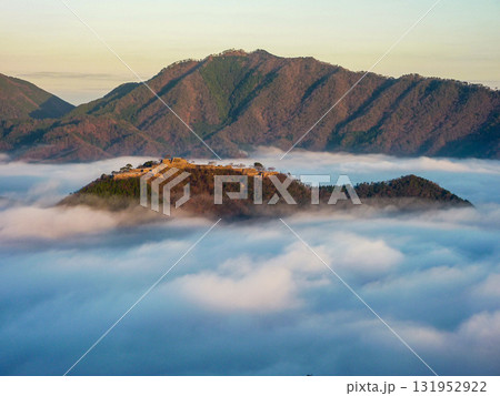 雲海に浮かぶ竹田城跡 131952922