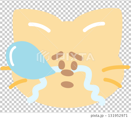 Illustration of cat crying expression for cartoon characters, comic, pet shop, vet, emoji, mood, emotion, emotion, feeling, adopt and rescue animal, sticker, cat icon, kitten face shape, foster home 131952971