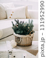 Christmas spruce branches with pine cone and string lights in wicker basket. Cozy festive winter holiday home interior decoration. 131952990