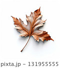 an AI Image Generator, Elegant Copper Maple Leaf Sculpture With Cream Highlights 131955555