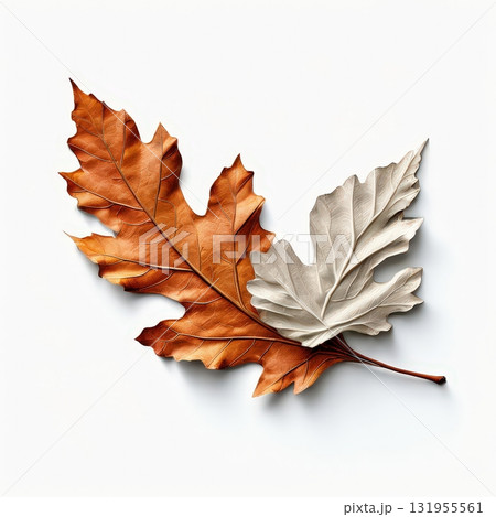 an AI Image Generator, Elegant Copper Maple Leaf Sculpture With Cream Highlights an AI Image Generator, Elegant Copper Maple Leaf Sculpture With Cream Highlights 131955561