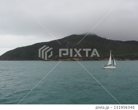 フィッツロイ島–白い帆が曇り空と島影に溶ける瞬間 131956348