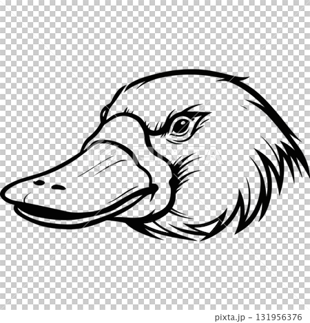 Wild Faces 131956376