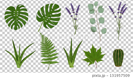 Tropical collection of monstera leaves, eucalyptus, aloe vera, fern, cactus and lavender for botanical design projects, bringing natural beauty and calm 131957509