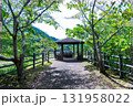新緑に包まれる東屋 131958022