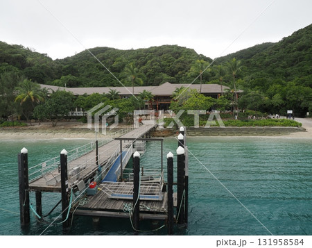 フィッツロイ島–桟橋と椰子に囲まれたリゾートの正面 フィッツロイ島–桟橋と椰子に囲まれたリゾートの正面 131958584