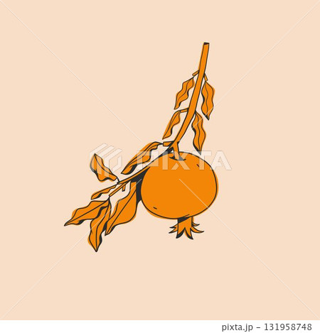 Hand drawn abstract vector graphic illustration collection with stylized pomegranate branch fruit in cartoon drawing style.Trendy modern juicy fruit design concept.Vector line fruit symbol icon. Hand drawn abstract vector graphic illustration collection with stylized pomegranate branch fruit in cartoon drawing style.Trendy modern juicy fruit design concept.Vector line fruit symbol icon. 131958748