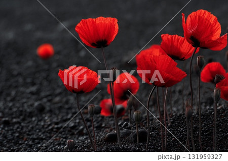 Vibrant Red Poppies Bloom Against a Dark, Mysterious Backdrop of Soil Generative AI 131959327