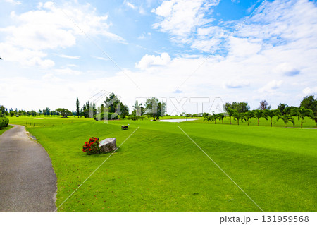 爽やかな南国の青空と青い海・ヤシの木と鮮やかな芝が映えるリゾートのゴルフ場（沖縄県宮古島市） 131959568
