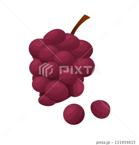 Bunch of red grapes with two loose grapes. Fresh fruit, natural food, and harvest Bunch of red grapes with two loose grapes. Fresh fruit, natural food, and harvest 131959815