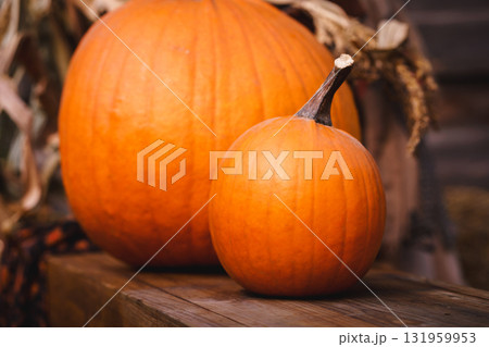 Autumn Harvest Pumpkins with Blanket Autumn Harvest Pumpkins with Blanket 131959953