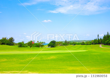 爽やかな南国の青空と青い海・ヤシの木と鮮やかな芝が映えるリゾートのゴルフ場（沖縄県宮古島市） 131960058