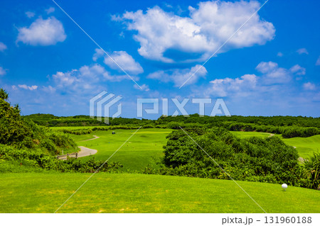 爽やかな南国の青空と青い海・ヤシの木と鮮やかな芝が映えるリゾートのゴルフ場(沖縄県宮古島市) 爽やかな南国の青空と青い海・ヤシの木と鮮やかな芝が映えるリゾートのゴルフ場(沖縄県宮古島市) 131960188