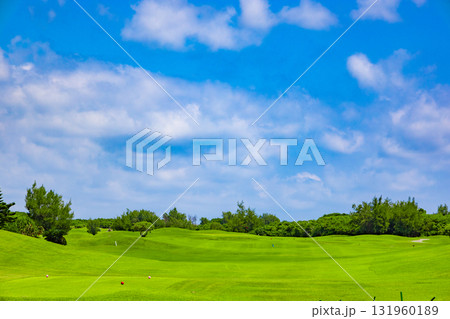 爽やかな南国の青空と青い海・ヤシの木と鮮やかな芝が映えるリゾートのゴルフ場（沖縄県宮古島市） 131960189