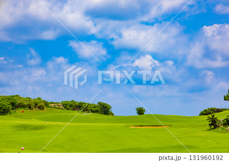 爽やかな南国の青空と青い海・ヤシの木と鮮やかな芝が映えるリゾートのゴルフ場(沖縄県宮古島市) 爽やかな南国の青空と青い海・ヤシの木と鮮やかな芝が映えるリゾートのゴルフ場(沖縄県宮古島市) 131960192