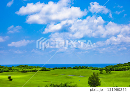 爽やかな南国の青空と青い海・ヤシの木と鮮やかな芝が映えるリゾートのゴルフ場(沖縄県宮古島市) 爽やかな南国の青空と青い海・ヤシの木と鮮やかな芝が映えるリゾートのゴルフ場(沖縄県宮古島市) 131960253