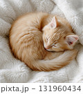 Adorable ginger kitten sleeping peacefully on soft white blanket. 131960434