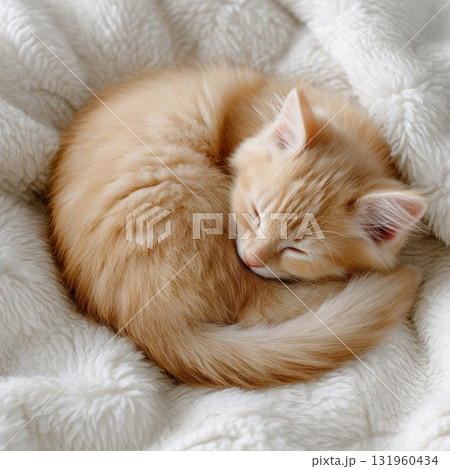 Adorable ginger kitten sleeping peacefully on soft white blanket. 131960434