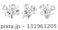 Lily and Tulip flower arrangement line art on white background. Silhouette botanical hand drawn element for wedding, invitation frame design, vector illustration 131961205