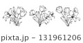 Lily and Tulip flower arrangement line art on white background. Silhouette botanical hand drawn element for wedding, invitation frame design, vector illustration 131961206