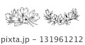 Crocus flower arrangement line art on white background. Silhouette crocus botanical hand drawn element for wedding, invitation frame design, vector illustration 131961212