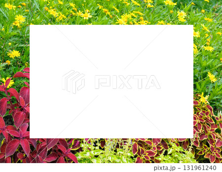 Floral Frame of Yellow and Red Foliage with Blank Area 131961240