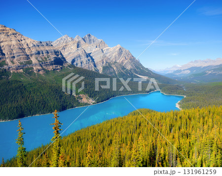 Lake Peyto, Banff National Park, Alberta, Canada. Landscape during daylight hours. Lake Peyto, Banff National Park, Alberta, Canada. Landscape during daylight hours. 131961259